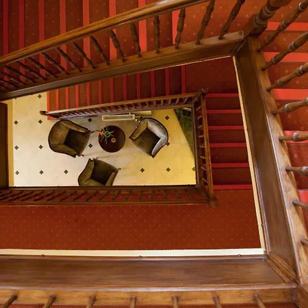 Stranddistel Ruegen 3*