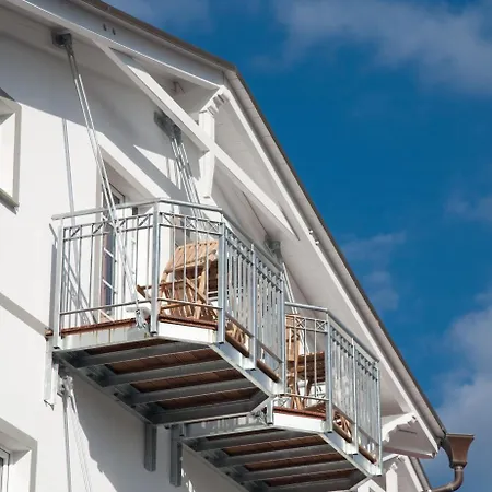 Stranddistel Ruegen 3*