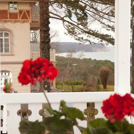 Stranddistel Ruegen 3*