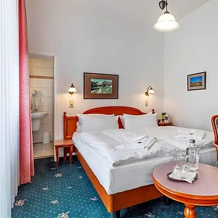Stranddistel Ruegen 3*