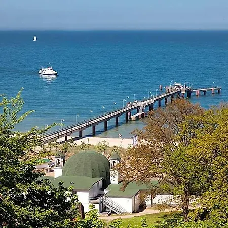 Stranddistel Ruegen