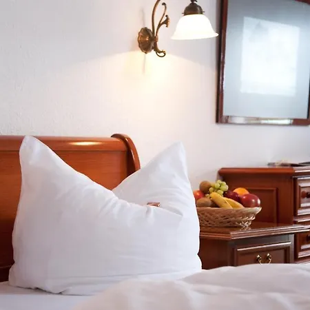 Stranddistel Ruegen 호텔 3*