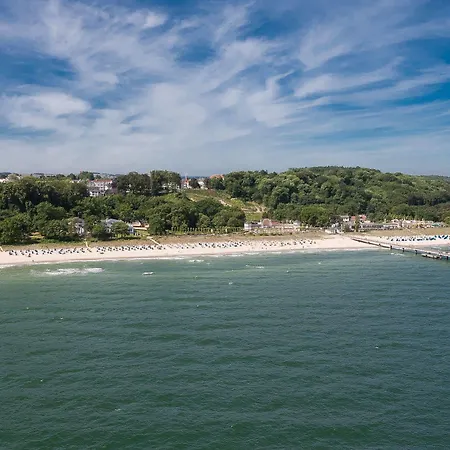 Stranddistel Ruegen Goehren (Ruegen)