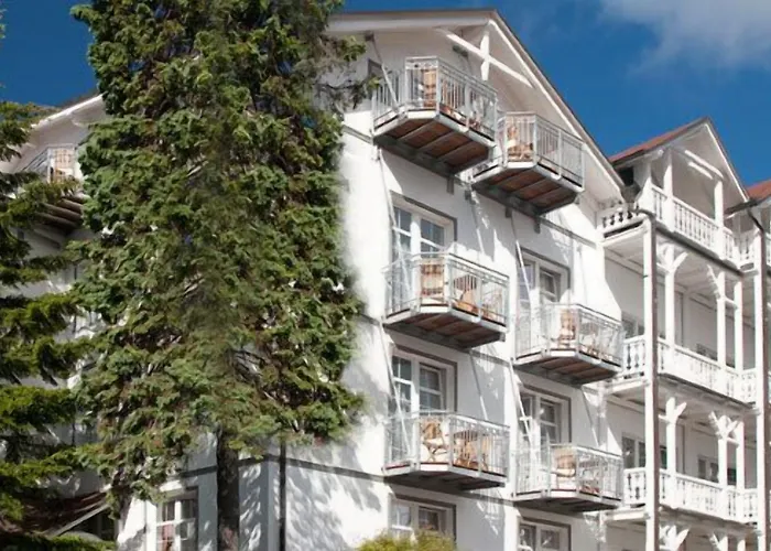 Stranddistel Ruegen Hotel